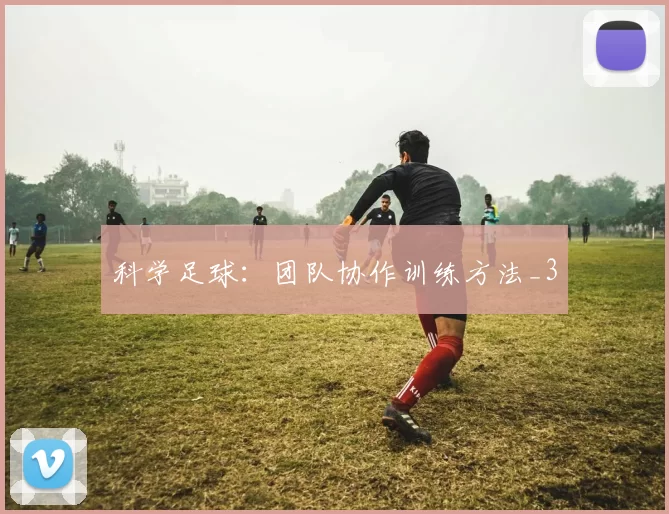 科学足球：团队协作训练方法_3