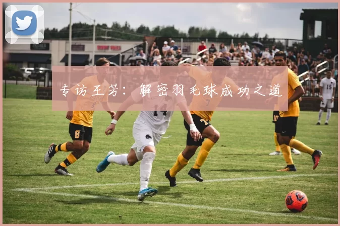 专访王芳：解密羽毛球成功之道