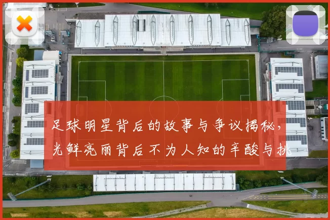 足球明星背后的故事与争议揭秘，光鲜亮丽背后不为人知的辛酸与挑战