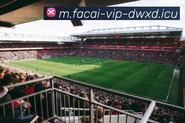 MK体育注册平台生态图